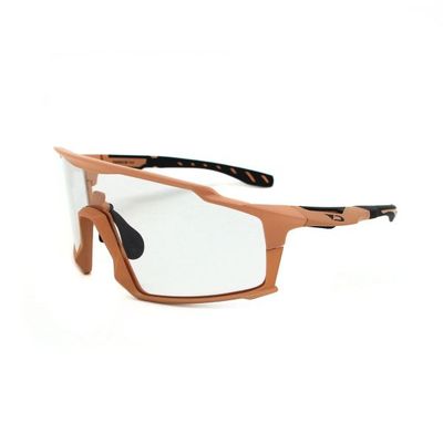 D'ARCS PEAK SPORT SUNGLASSES