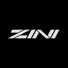 Zini