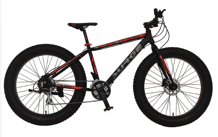 2024 Sandeater All-Terrain Fat bike.