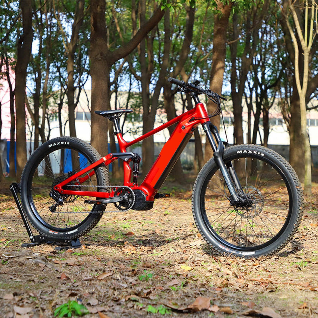 Full SuS Comfort Powered by 1000w M620 Ultra Mid drive