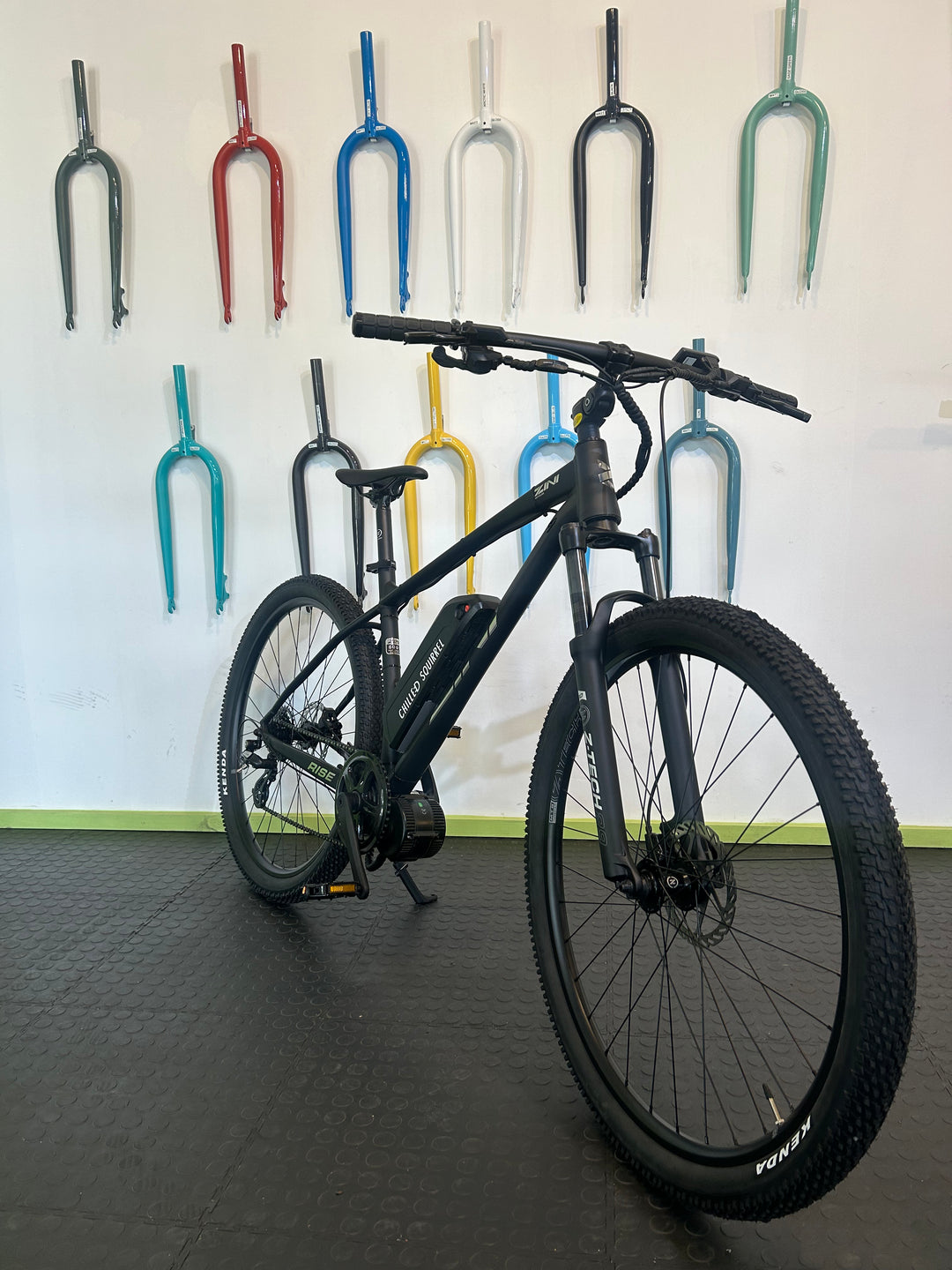 ZINI EMTB