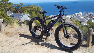 1000W MID DRIVE