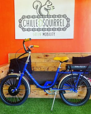 500W 48V FRONT HUB