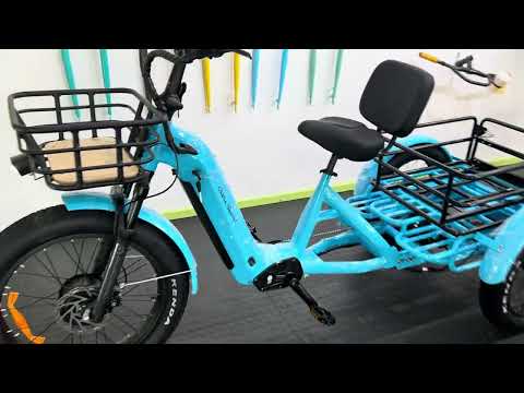 HIPPO ELECTRIC TRIKE